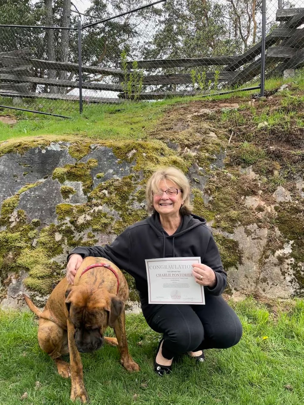 Focus K9 | Langford, Victoria, BC V9B 0X1, Canada | Phone: (236) 464-1611