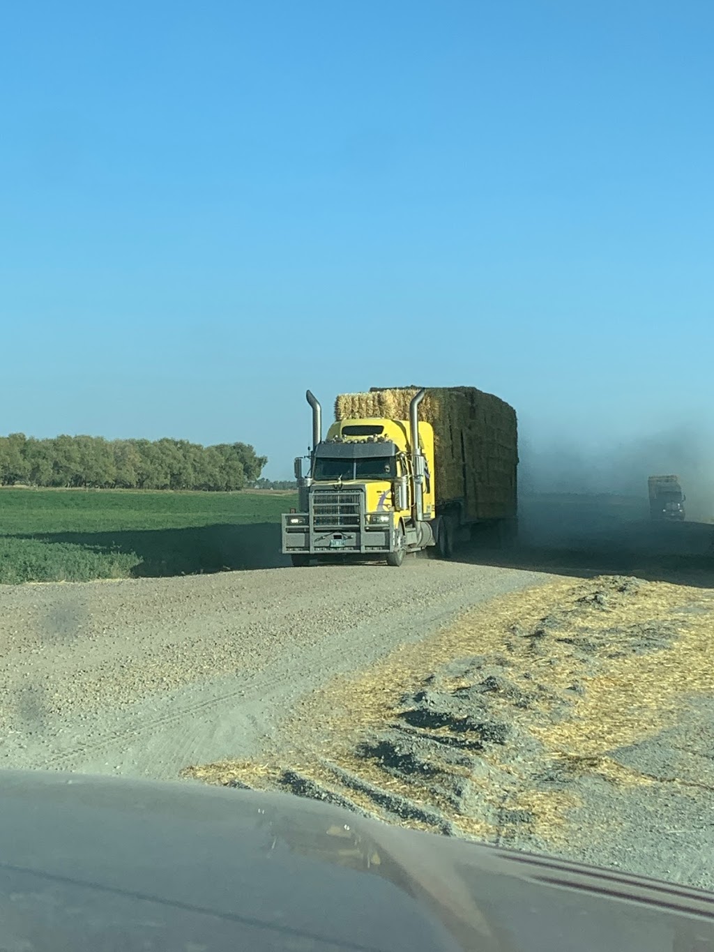 Goldenview Farms Ltd. | 23096 Rd 2 N, NW-7-1-4-W RM of Stanley Box 288 RR2, Morden, MB R6M 2A1, Canada | Phone: (204) 362-4874