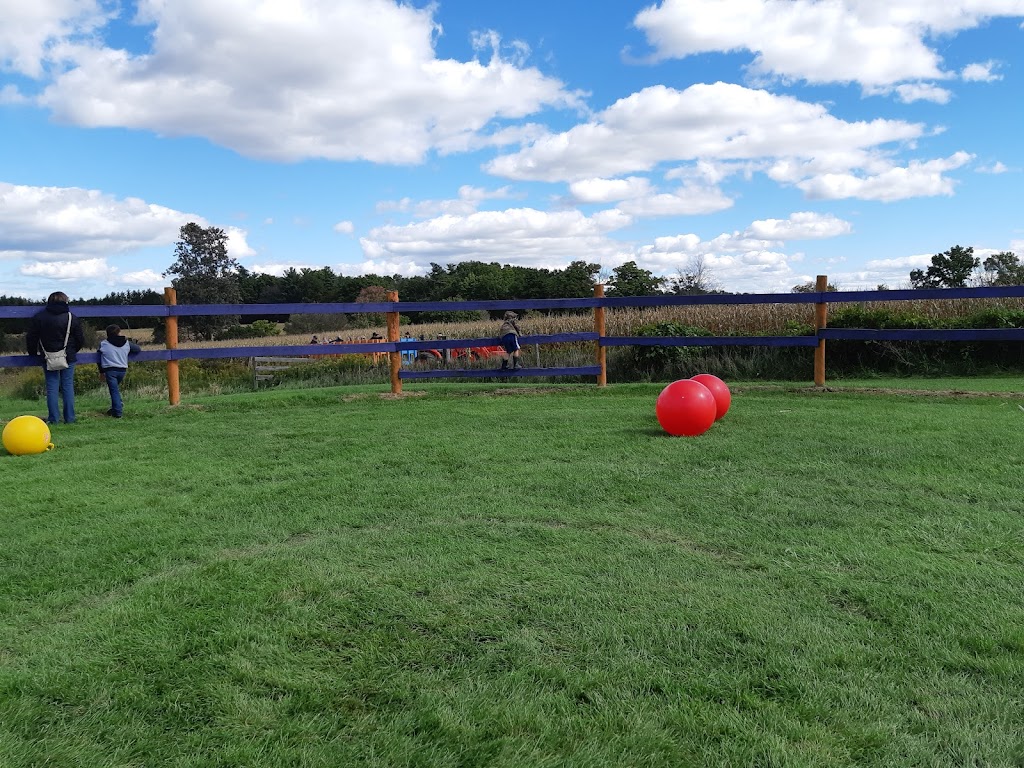 Coltons Fun Farm | 109 Jerseyville Rd, Brantford, ON N3T 5M1, Canada | Phone: (519) 209-7654