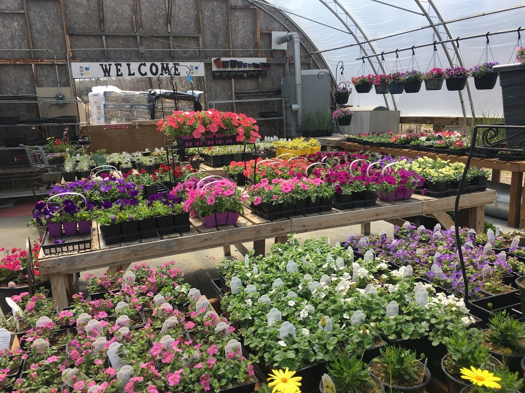 Chevrefils Greenhouse | MB-11, St-Georges, MB R0E 1V0, Canada | Phone: (204) 367-1492
