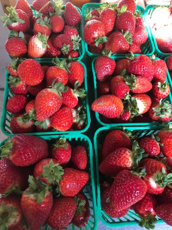 YFM - Beachville Rd Market | 585085 Beachville Rd, Woodstock, ON N4S 7V6, Canada | Phone: (519) 535-1835
