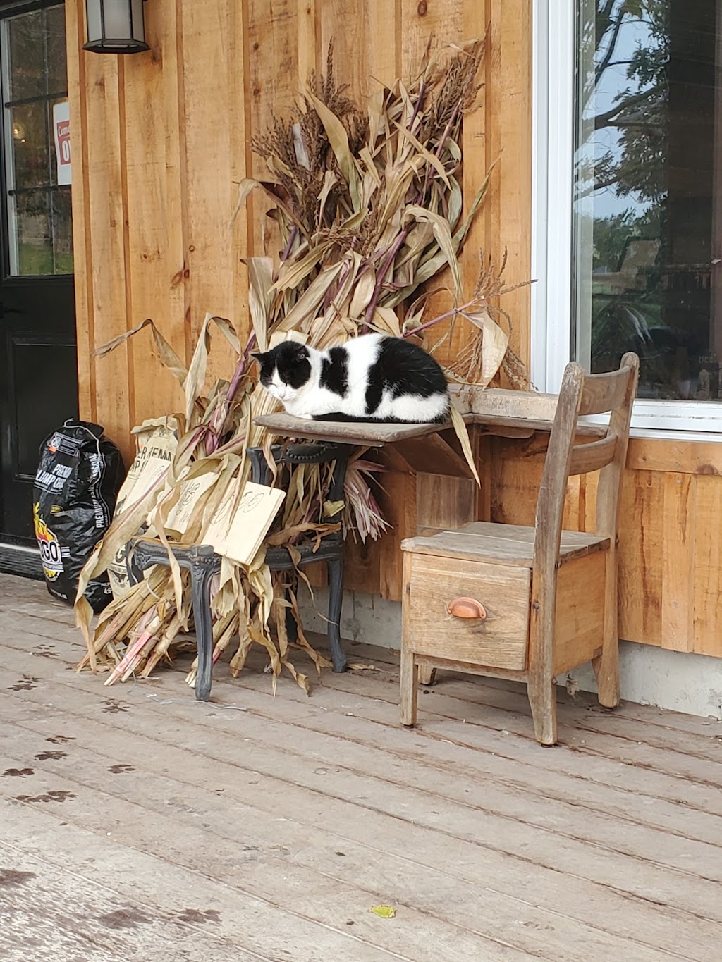 Hummingbird Hill Farms | 10258 ON-9, Palgrave, ON L0N 1P0, Canada | Phone: (905) 965-0077