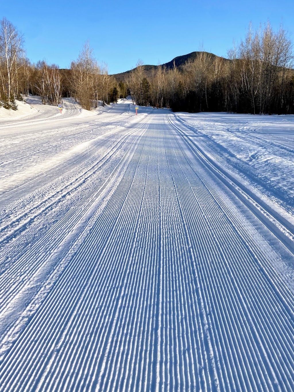 Mont-Sainte-Anne Cross Country Ski Centre | 300 Rang St Julien, Saint-Ferréol-les-Neiges, QC G0A 3R0, Canada | Phone: (418) 827-4561
