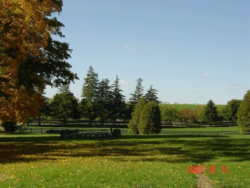 Waymark Farms Ltd | 867733 Township Rd 10, Bright, ON N0J 1B0, Canada | Phone: (519) 632-7355
