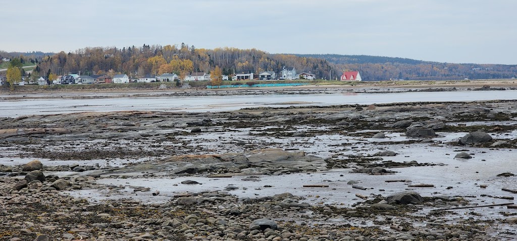 Pêcheries Manicouagan | 152 Rue St Marcellin O, Les Escoumins, QC G0T 1K0, Canada | Phone: (418) 233-3122