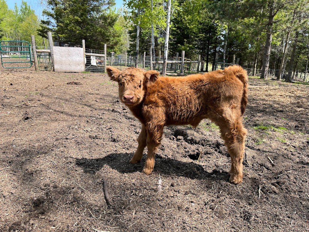 BENTHORN FARMSTEAD | 510 Municipal Rd, Sauble Beach, ON N0H 2G0, Canada | Phone: (519) 378-4486