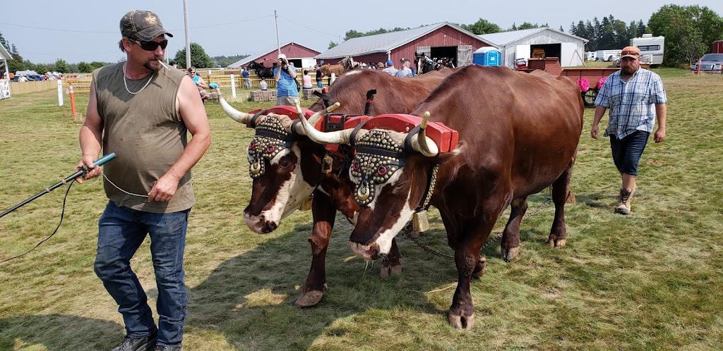 Dundas Plowing Match and Agricultural Fair Grounds | 260 Little River Rd, Dundas, PE C0A 1G0, Canada | Phone: (902) 583-2723
