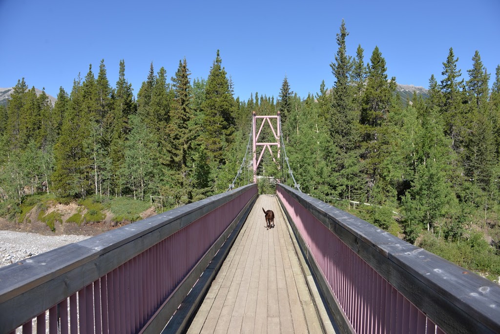 Little Elbow Campground | AB-66, Bragg Creek, AB T0L 0K0, Canada | Phone: (403) 949-3132