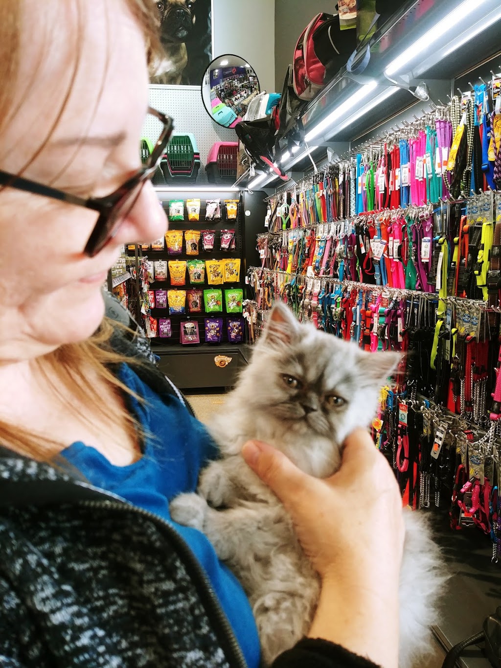 Pet food RDL | 164a Rue Fraser, Rivière-du-Loup, QC G5R 1C8, Canada | Phone: (418) 867-5997