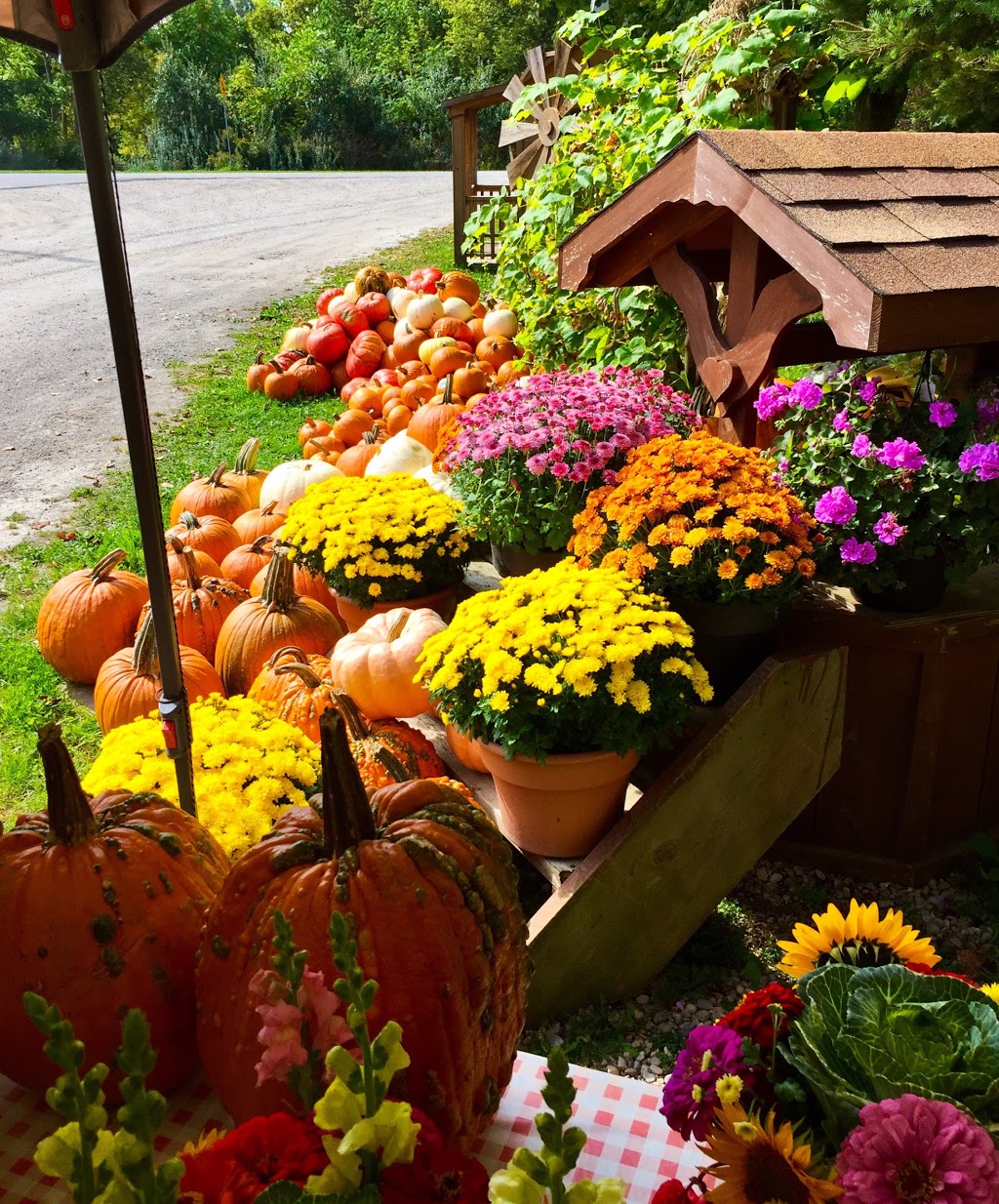 Countryside Values | Kincardine, ON N0G 2R0, Canada | Phone: (519) 395-3593