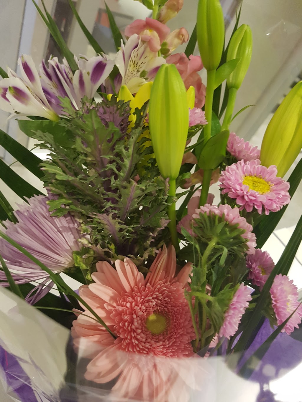 Toronto Florists 4913 Bathurst St, North York, ON M2R 1X8, Canada