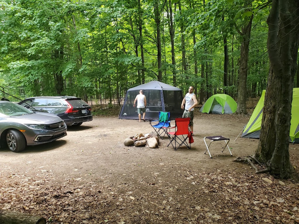 Voyageur Provincial Park | 1313 Front Rd, Chute-à-Blondeau, ON K0B 1B0, Canada | Phone: (613) 674-2825