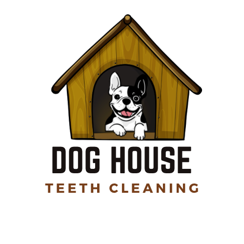 Dog House Teeth Cleaning | 8 Rhine Meadow Rd, Heidelberg, ON N0B 2M1, Canada | Phone: (519) 503-9693