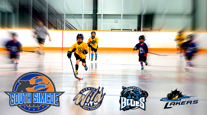 South Simcoe Ball Hockey Leagues | 1145 Innisfil Beach Rd, Innisfil, ON L9S 4B2, Canada | Phone: (416) 671-3893