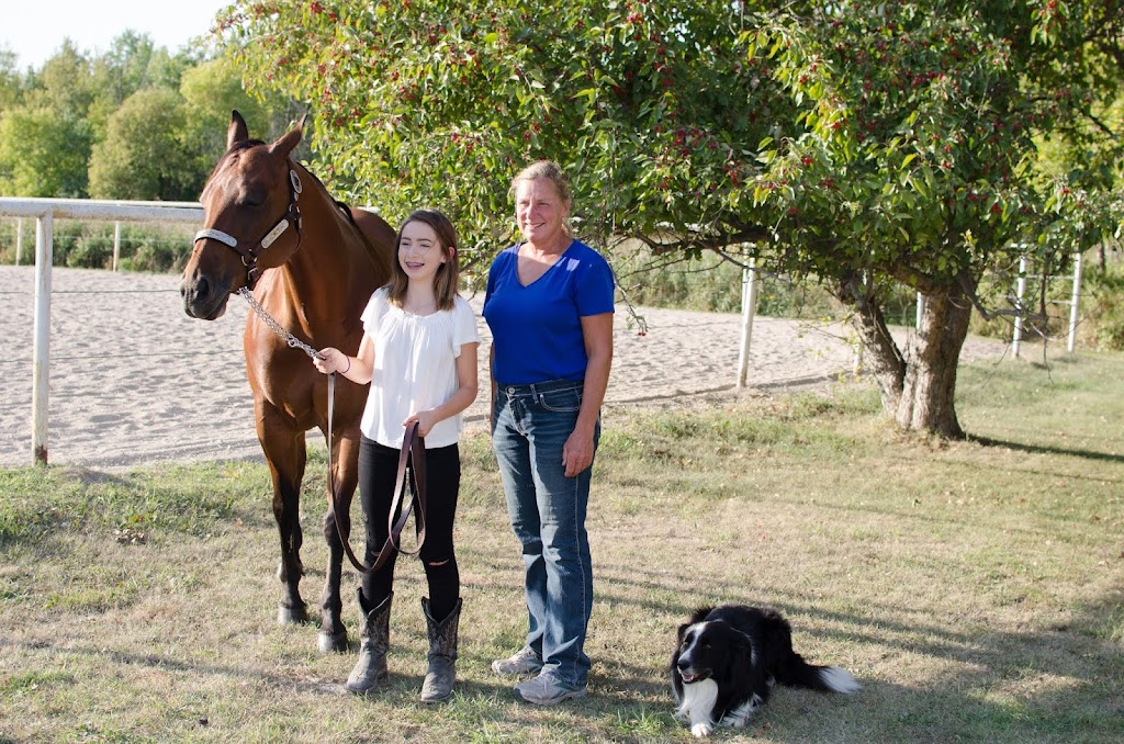 W W Stables | 1356 McCreary Rd, Winnipeg, MB R3P 0M7, Canada | Phone: (204) 895-7106