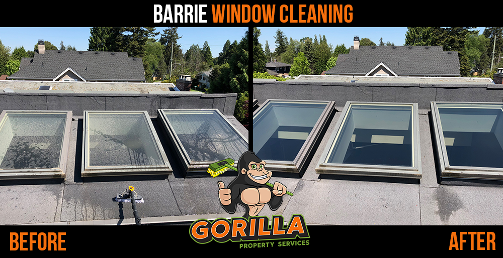 Gorilla Property Services | 65 Cedar Pointe Dr Ste 247, Barrie, ON L4N 9R3, Canada | Phone: (705) 805-0244
