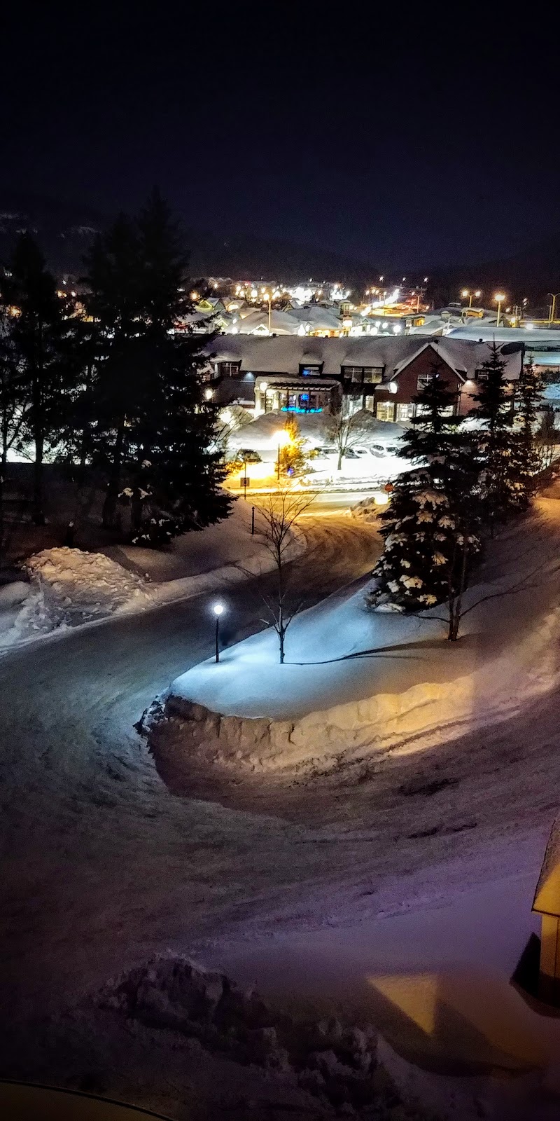 Hotel & Suites Les Laurentides | 190 Avenue de la Gare, Saint-Sauveur, QC J0R 1R3, Canada | Phone: (450) 227-4628