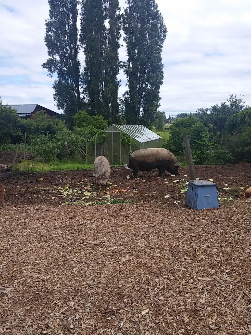 Poplar Lane Farm | 6309 Old East Rd, Victoria, BC V8Y 1R7, Canada | Phone: (250) 516-6618