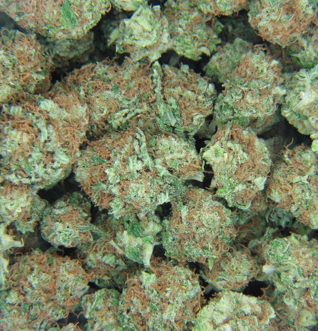 Medicinal Express | 1745 Nanaimo St, Vancouver, BC V5N 5C1, Canada | Phone: (604) 428-3420