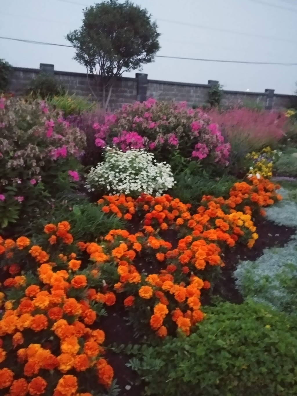 Botanical Gardens of Silver Springs | 37 Silver Springs Dr NW, Calgary, AB T3B 4N3, Canada