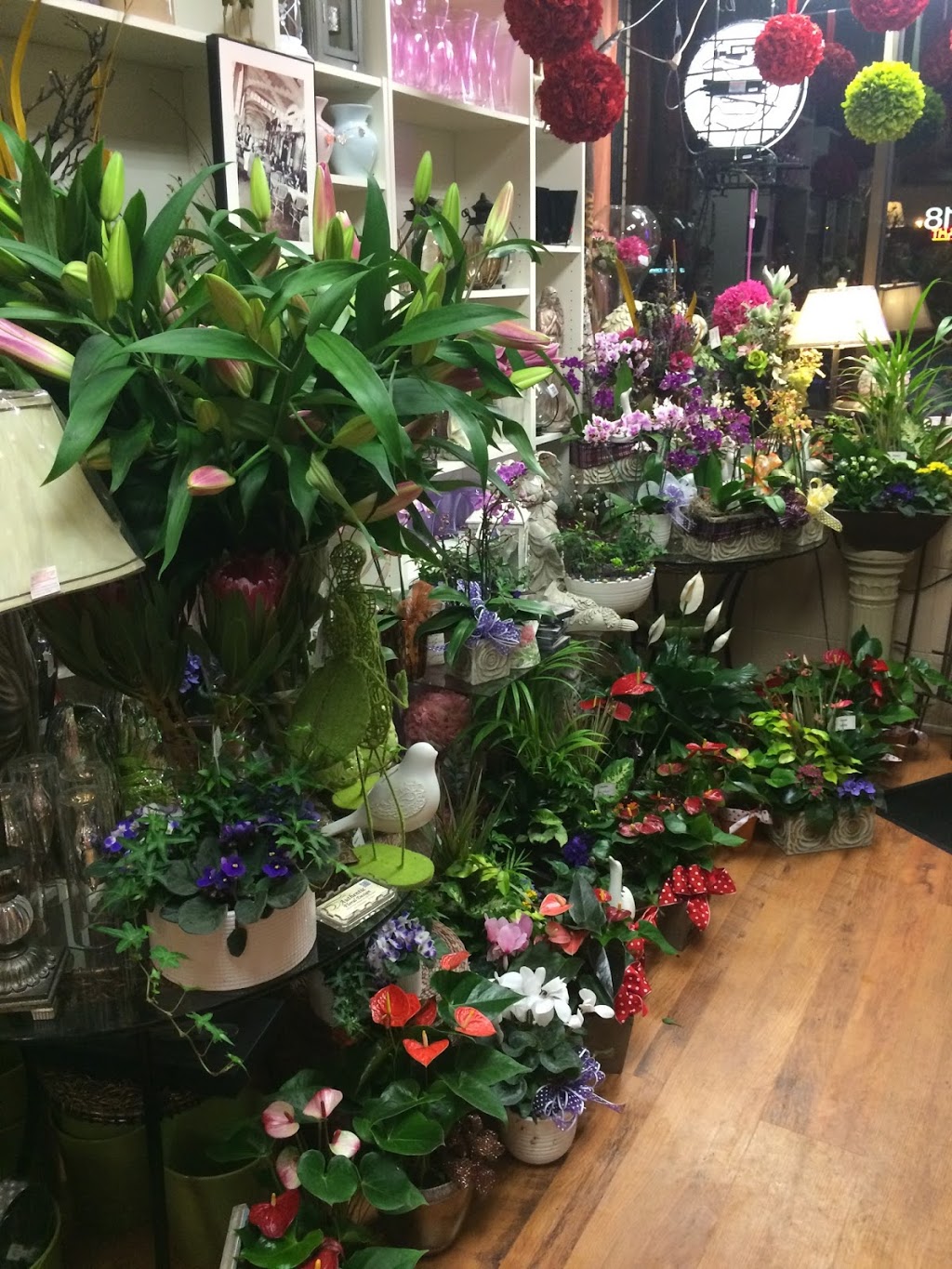 Floral 8 | 1155 Lauzon Rd a, Windsor, ON N8S 3M9, Canada | Phone: (844) 356-7258