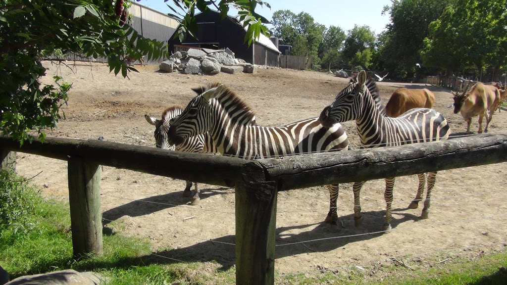 Bowmanville Zoo | 340 King St E, Bowmanville, ON L1C 3K5, Canada | Phone: (905) 623-0957