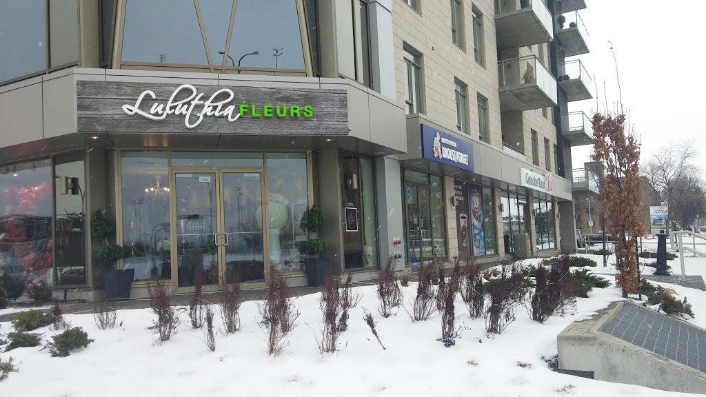 Nettoyeur Daoust/Forget | 1285 Boulevard Alexis-Nihon, Saint-Laurent, QC H4R 2K1, Canada | Phone: (514) 332-6238