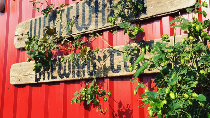 Whitewater Brewing Company - Riverside | 22 Fletcher Rd, Foresters Falls, ON K0J 1V0, Canada | Phone: (613) 582-7227