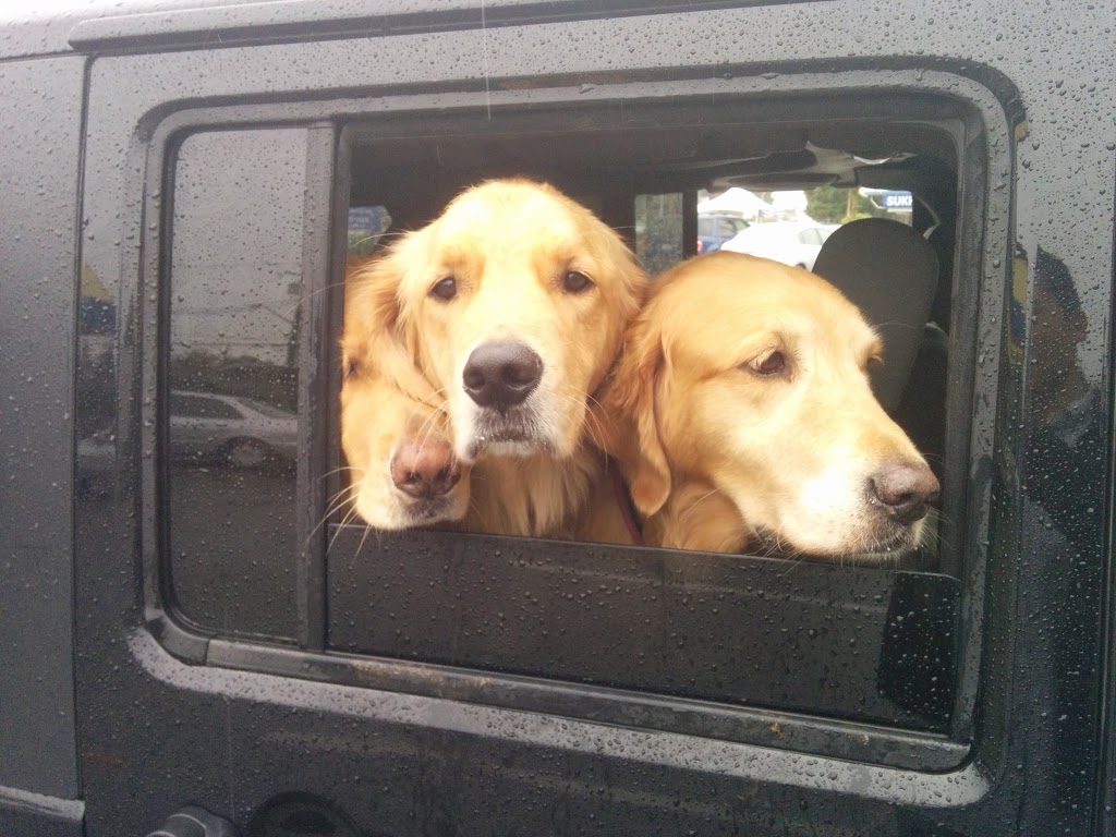 Bosleys by Pet Valu | 15428 Fraser Hwy #106, Surrey, BC V3R 3P5, Canada | Phone: (604) 589-4211