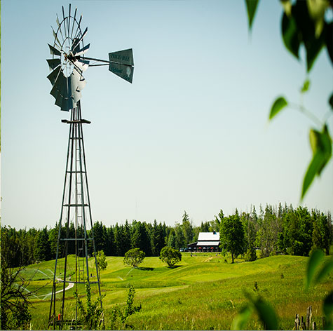 Highland Glen Golf Club | 305455 Southline A, Priceville, ON N0C 1K0, Canada | Phone: (519) 924-4653