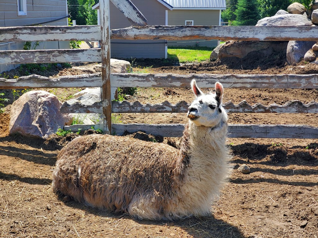 Ranch LaDouceur | 6250 Chemin du 10e Rang, Sainte-Agathe-des-Monts, QC J8C 0N6, Canada | Phone: (819) 321-1329