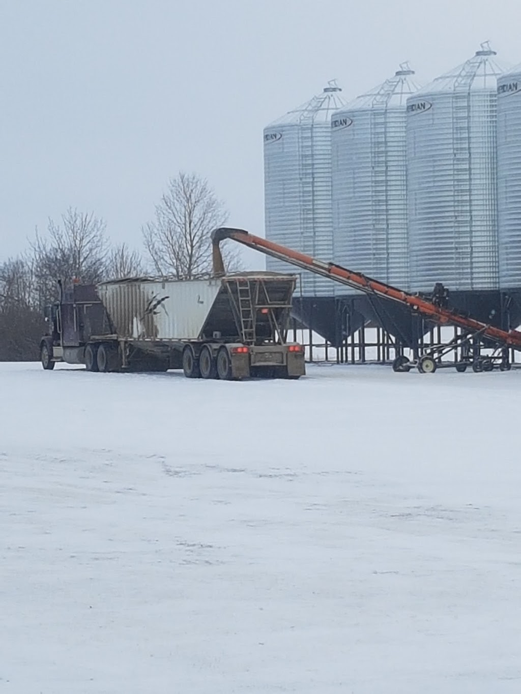 Toman Ag Ventures | Box 114, Guernsey, SK S0K 1W0, Canada | Phone: (306) 365-8386
