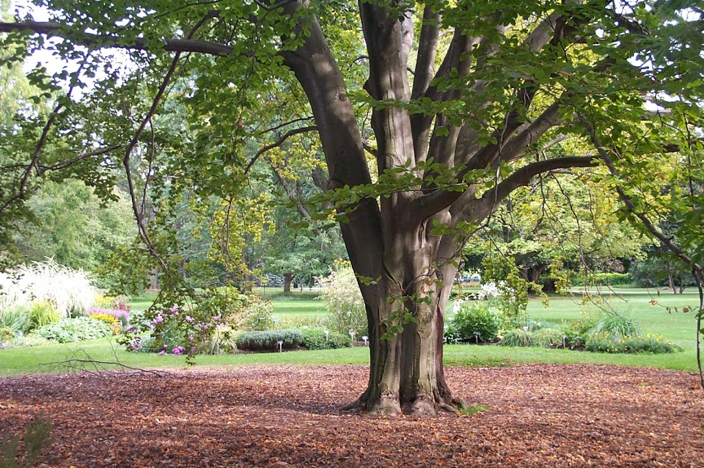 Niagara Parks | 2565 Niagara Pkwy, Niagara Falls, ON L2E 6T2, Canada | Phone: (877) 642-7275