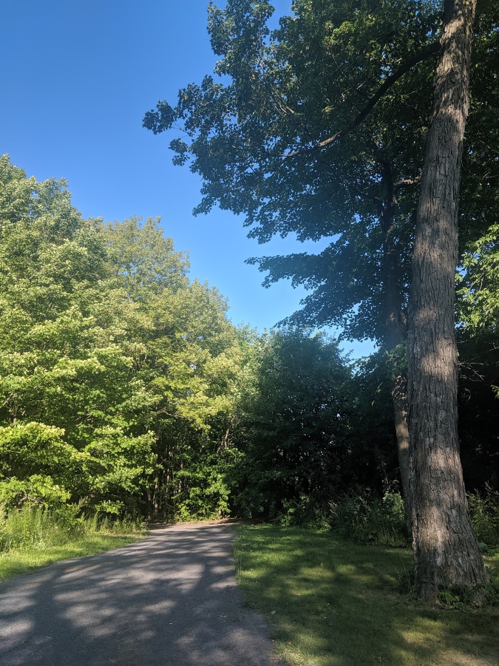 Réserve naturelle Marie-France-Pelletier | 550 Chemin des Prairies, Joliette, QC J6E 8T8, Canada