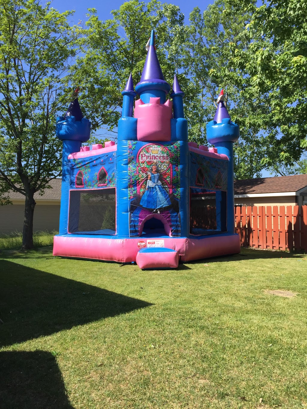 Buffalopartycharacter | 206 Berehaven Dr, Buffalo, NY 14228, USA | Phone: (716) 602-3964