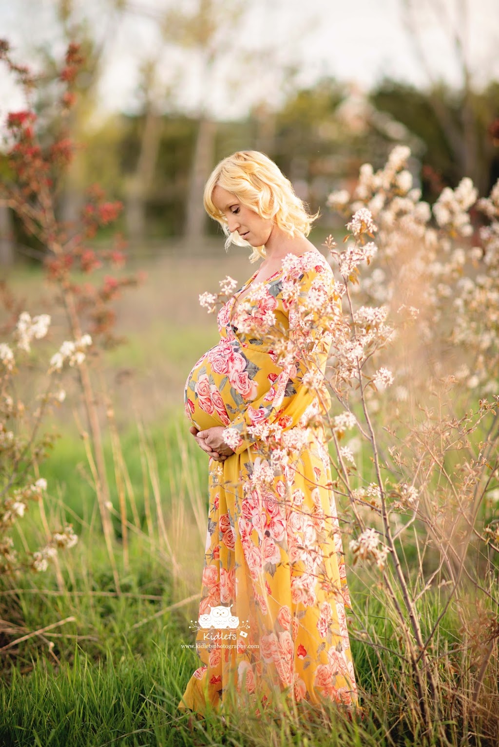 Kidlets Photography | Honeywood, Shelburne, ON L9V 0B5, Canada | Phone: (519) 216-2614