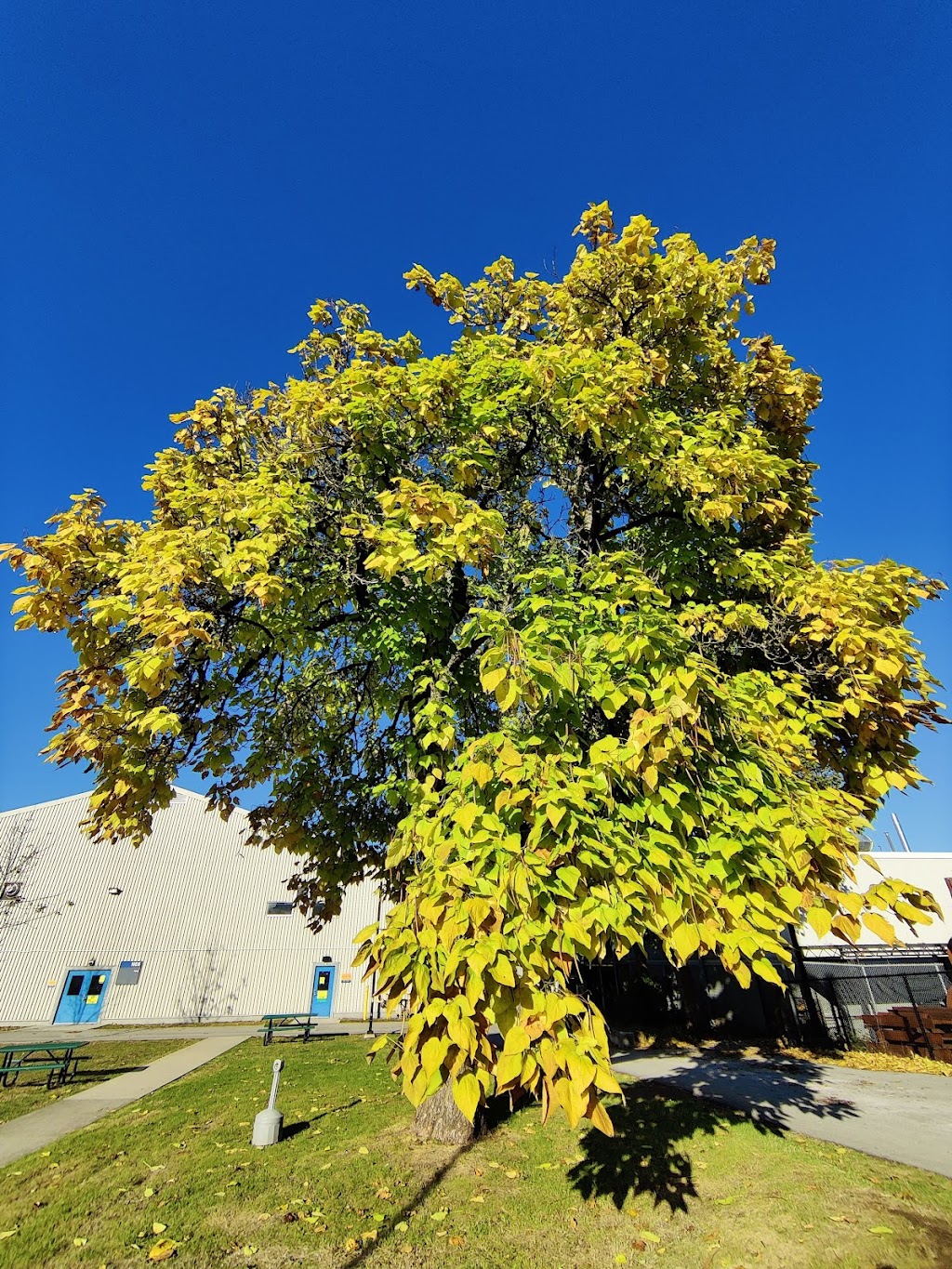 British Columbia Institute of Technology | SW 3, White Ave, Burnaby, BC V5G 3H2, Canada | Phone: (604) 434-1610