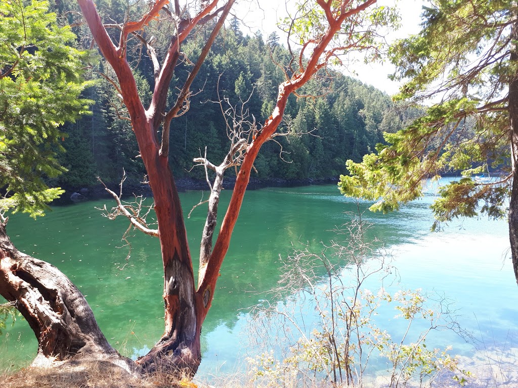 Narvaez Bay campsite | Saturna, BC V0N 2Y0, Canada