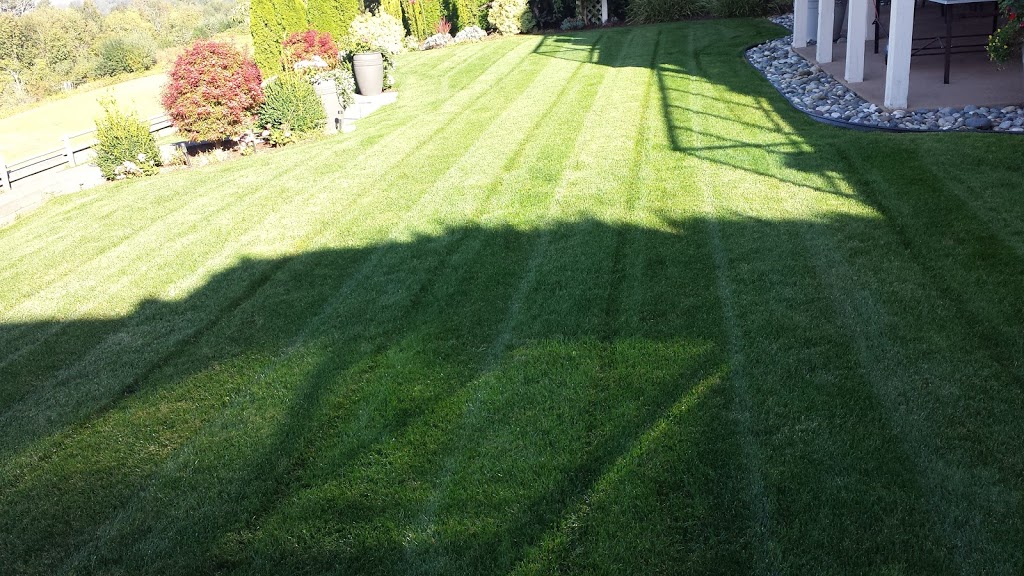 AB+C Landscape Maintenance Inc | 29521 Taylor Rd, Abbotsford, BC V4X 2E2, Canada | Phone: (604) 309-5545