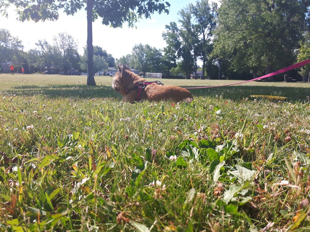 Bertie Centennial Park a.k.a. Ferndale Park | 865 Ferndale Ave, Fort Erie, ON L2A 5H2, Canada