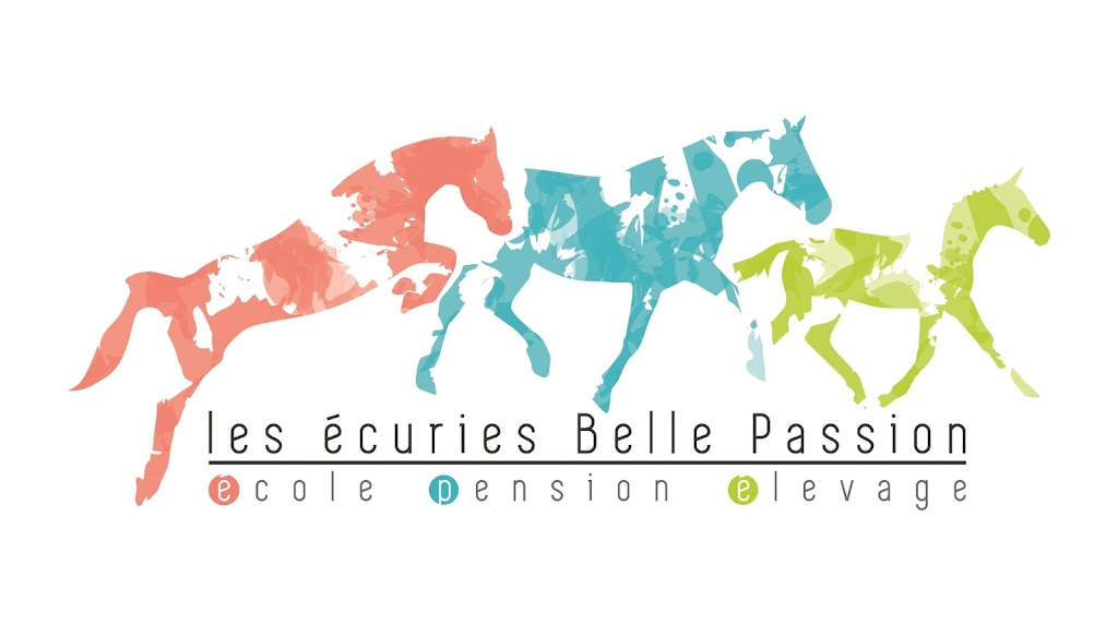 Les écuries Belle Passion | 5970 Rte St Léonard, Shipshaw, QC G7P 1H4, Canada | Phone: (418) 376-9056