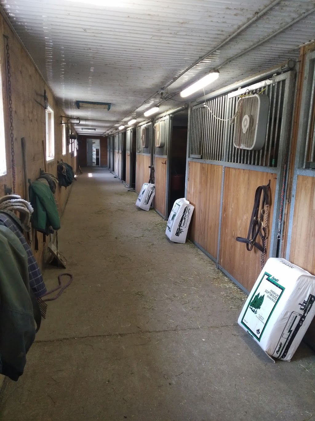 Deerfield Equestrian Farm | 4148 Larry Robinson Rd, Russell, ON K4R 0J8, Canada | Phone: (613) 821-0426