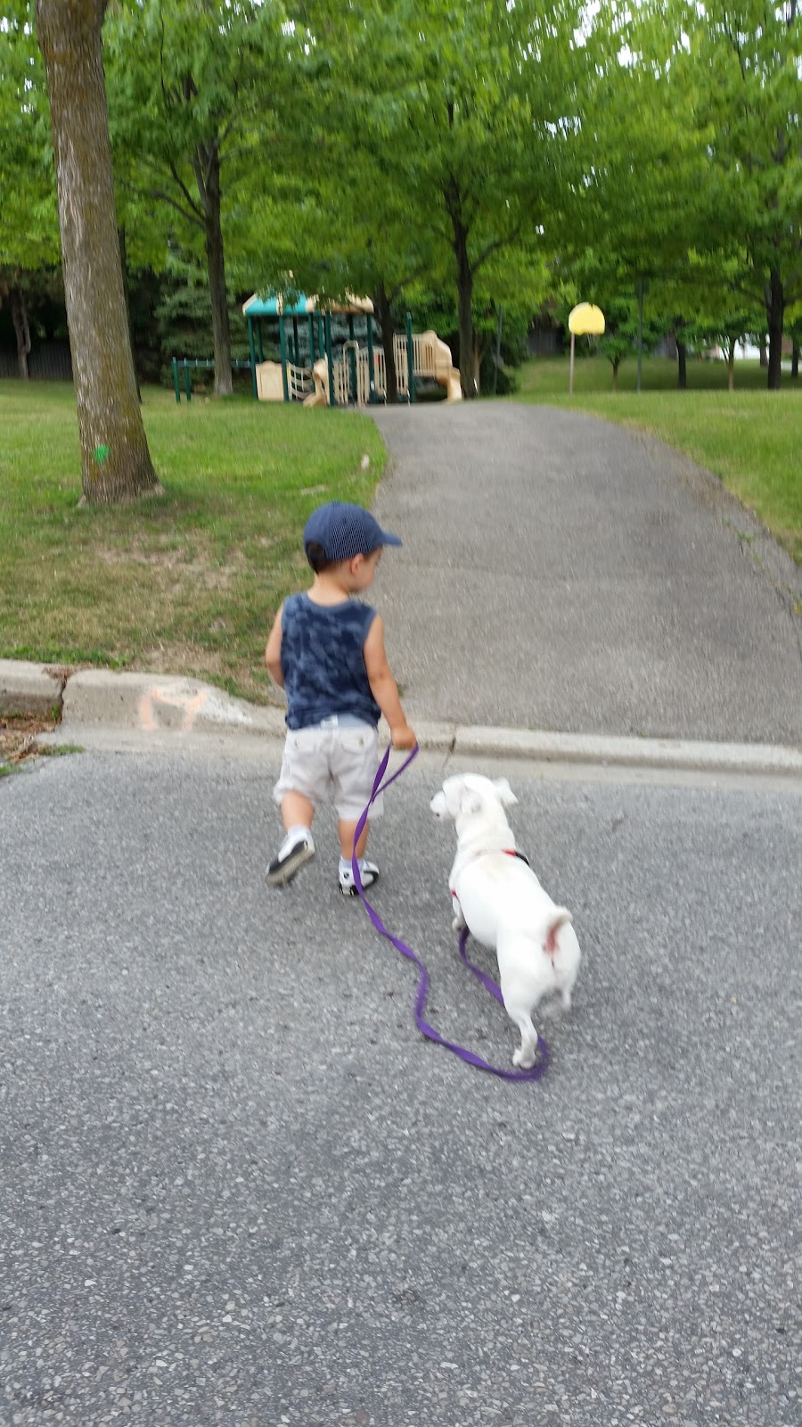 William Kennedy Park | 313 Kennedy St W, Aurora, ON L4G 6L7, Canada