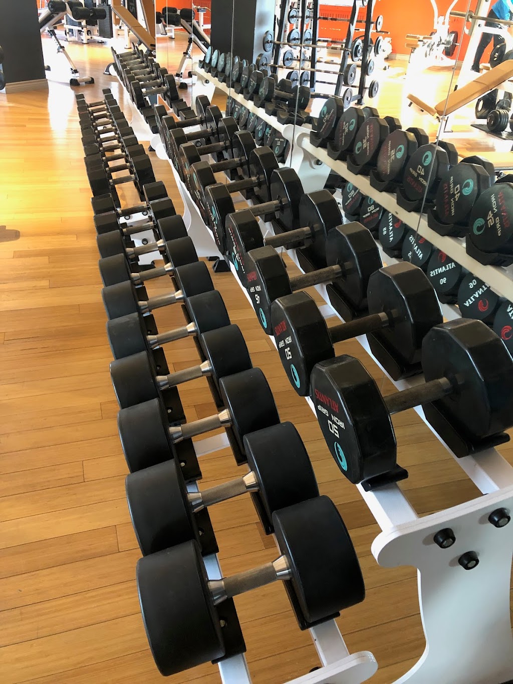 Studio 1 Gym | 1385 Chem. Canora, Mont-Royal, QC H3P 2J6, Canada | Phone: (514) 448-0277