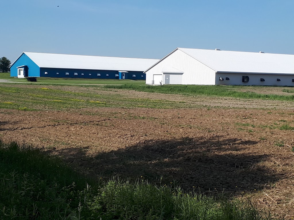 Canards Du Lac Brome Ltee | 174 Chemin du N, Racine, QC J0E 1Y0, Canada | Phone: (450) 532-3700
