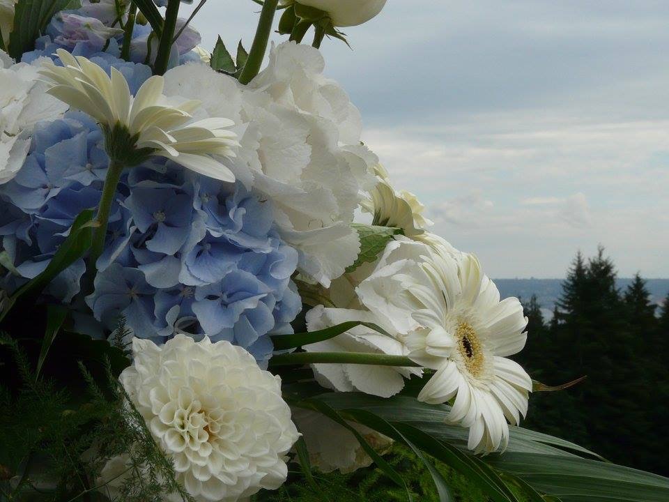 Pirin Flowers and Gifts | 1489 Stayte Rd, White Rock, BC V4B 4Z3, Canada | Phone: (604) 787-5623
