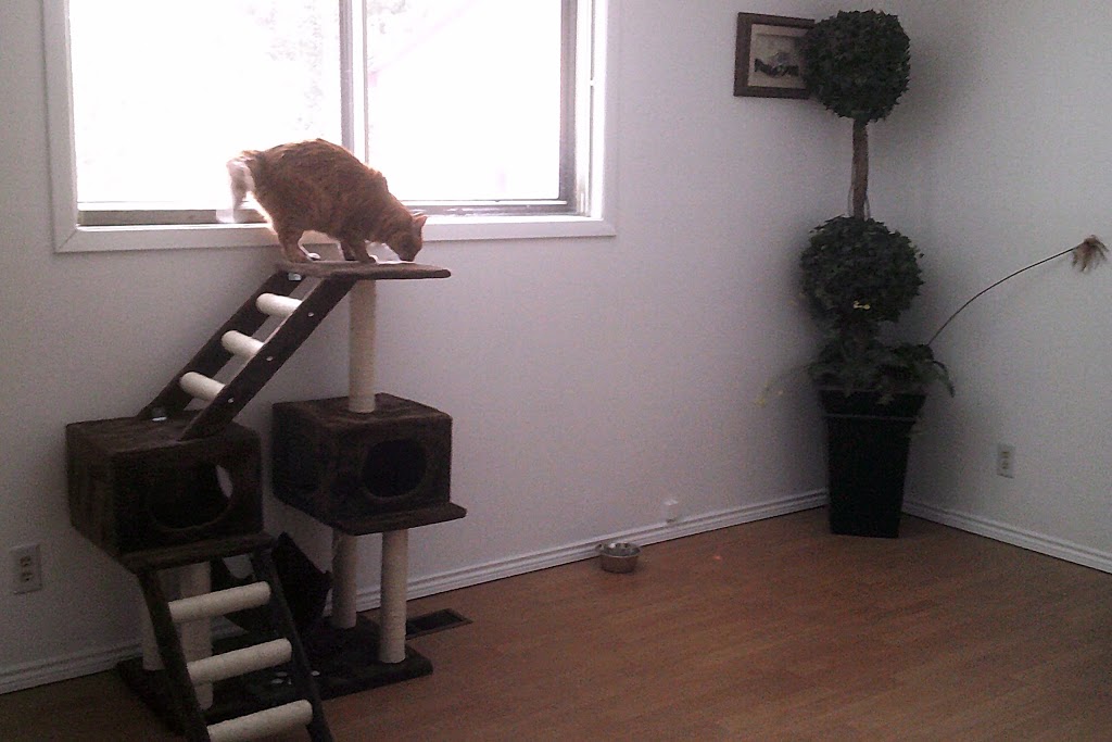 Brooklin Pet Care | 8560 Baldwin St N, Whitby, ON L1M 1Y7, Canada | Phone: (905) 655-4721