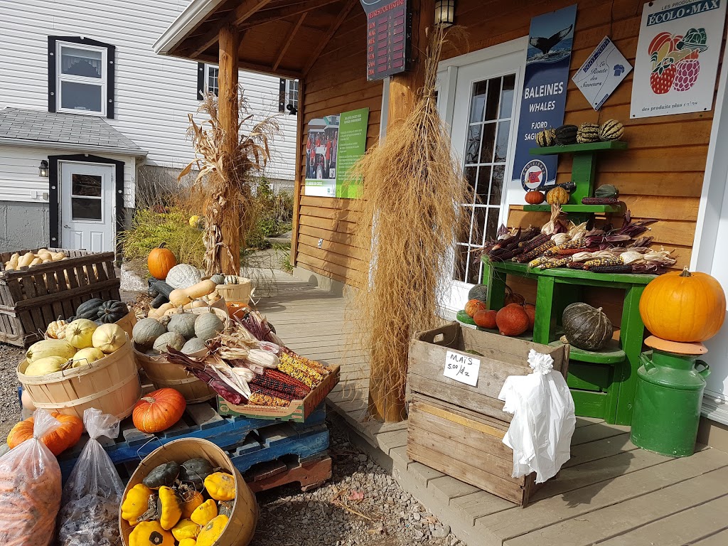 Jardins du Centre (Les) | 91 Rang des Éboulements Centre, Les Éboulements, QC G0A 2M0, Canada | Phone: (418) 635-2387