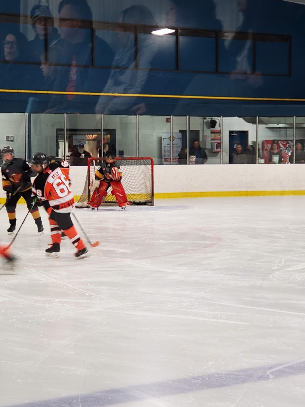 Crystal Ridge Arena | 89 Ridge Rd S, Crystal Beach, ON L0S 1B0, Canada | Phone: (905) 894-4565
