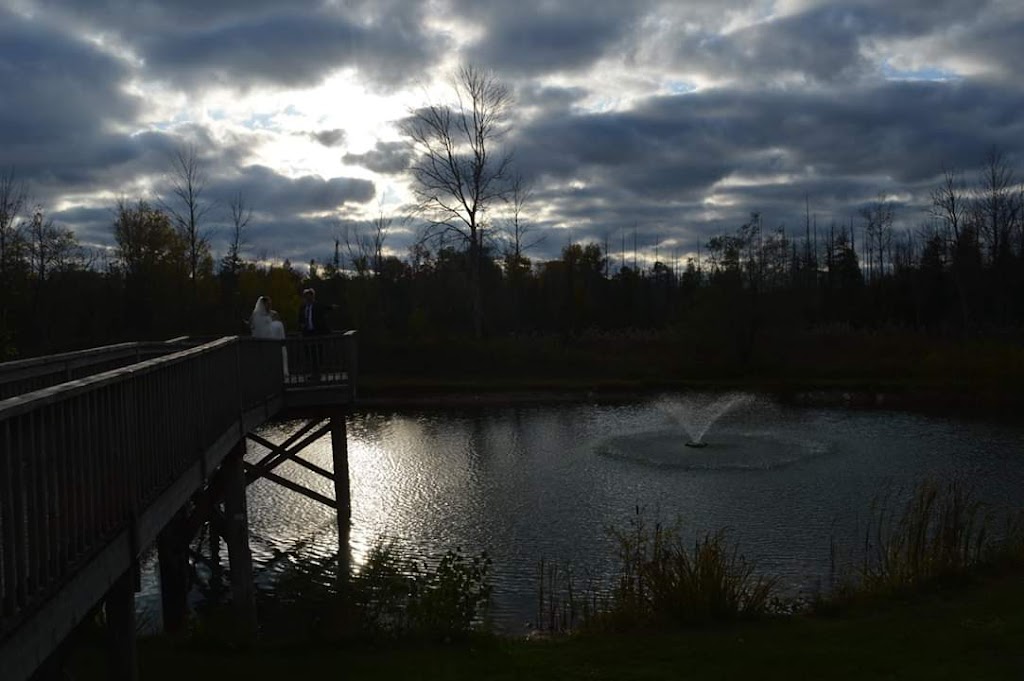 Ground Effects Landscapes | 341411 Concession Road 2 NDR, Hanover, ON N4N 3H6, Canada | Phone: (519) 364-5151